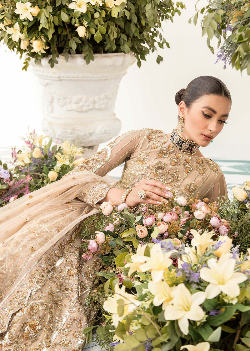 Noor Royale
